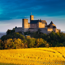 Kreisverband Eisenach Wartburgkreis