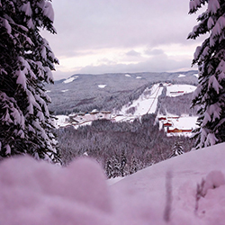 Kreisverband Schmalkalden-Meiningen
